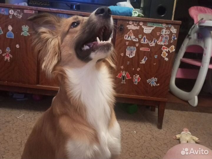 Сводка для кабеля