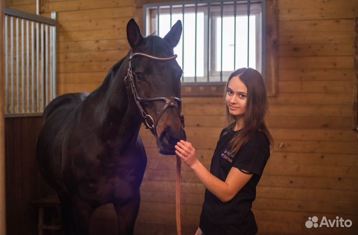 Коновод-берейтор/тренер по конному спорту
