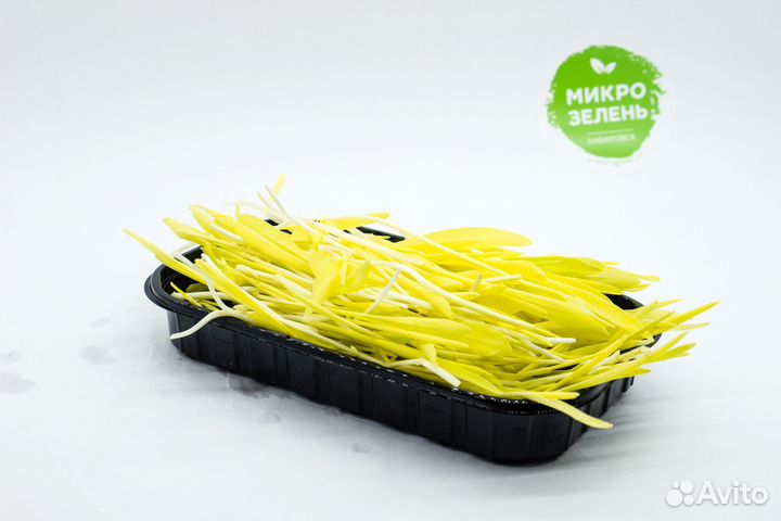 Микрозелень