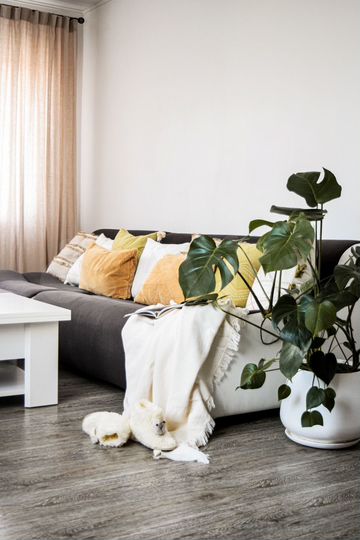 3-к. квартира, 58 м², 1/2 эт.