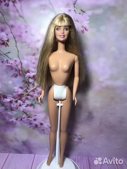 Барби, кен, Монстер хай