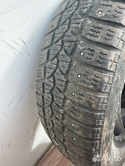 Tigar Sigura Stud 175/65 R14 82T