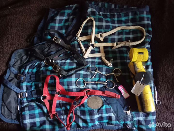 Амуниция для лошади: недоуздки, трензели, попона