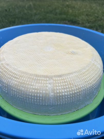 Сыр домашний брынза