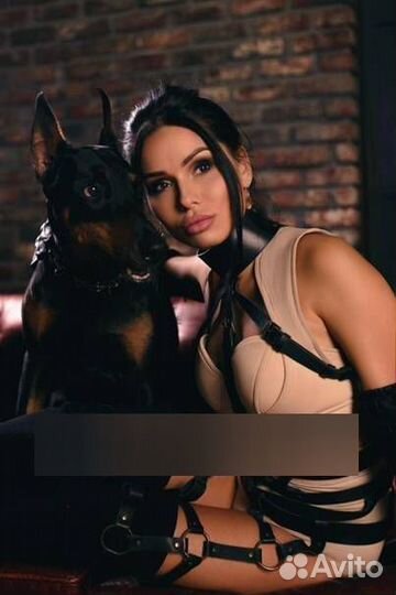 Фотосессия с доберманом