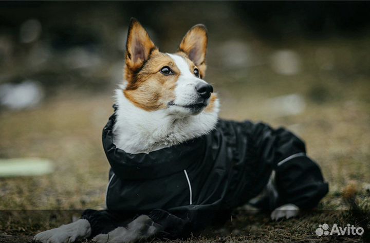 Куртка дождевик для средней собаки
