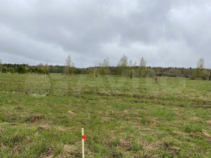 Участок 10 сот. (ИЖС)