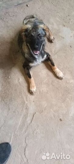 Девочка подросток