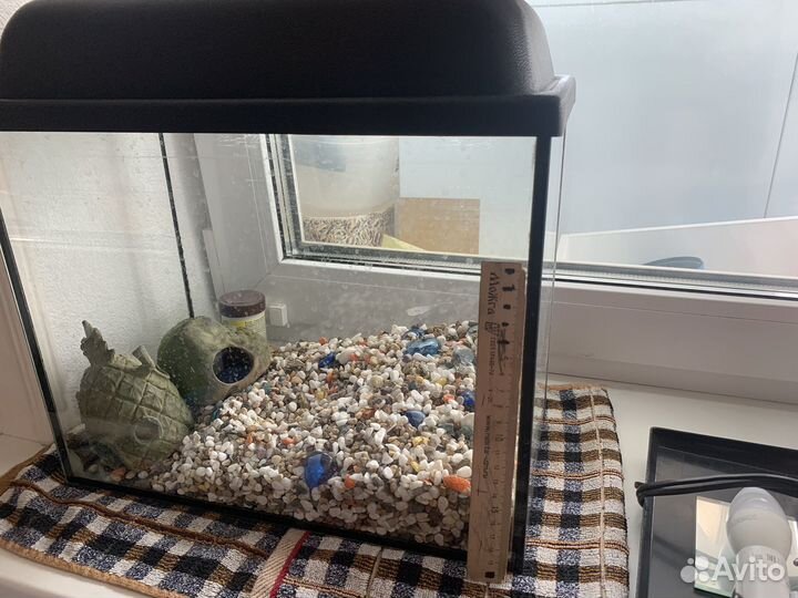 Аквариум