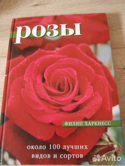 Книга Розы