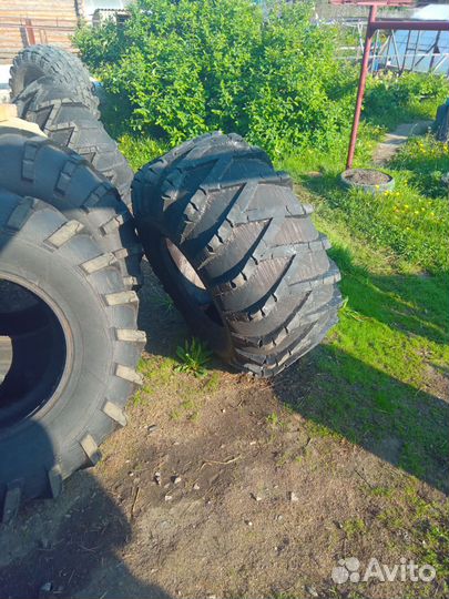 Шина ободрыш ви 3