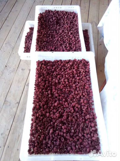 Малина сушеная