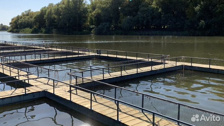 Садковая линия для разведения рыбы