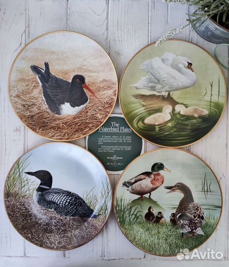 Полный комплект 12 Waterbird Plates