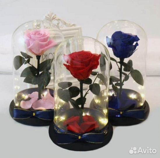 Роза в колбе. С гарантией
