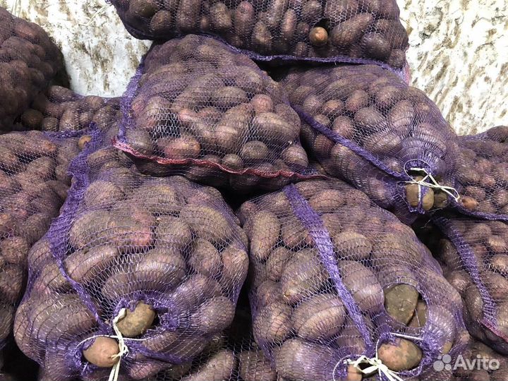 Овощи соления сухофрукты оптом и в розницу