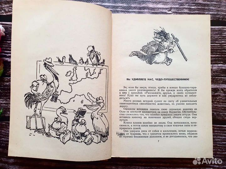 Иосифов. Чудо-компасы 1969 г