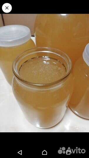 Мед свежий 2023