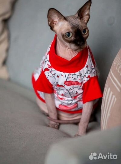 Новогодний наряд для питомцев