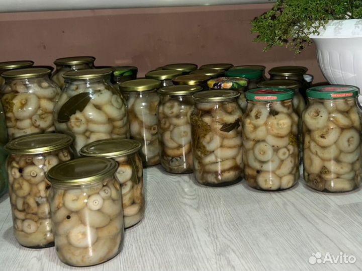 Грибы грузди маринованные