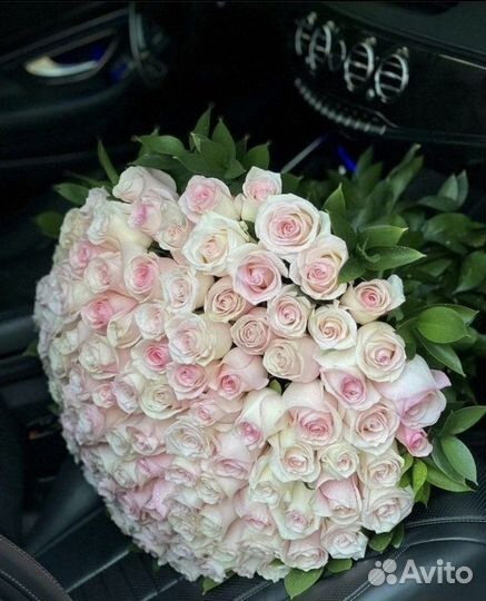 Розы белые Цветы Омск Доставка