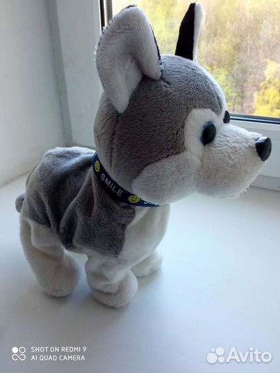 Интерактивная собака-Хаски