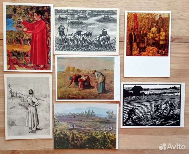 Сбор урожая, работа в поле. 33 открытки