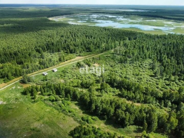 Участок 12 сот. (СНТ, ДНП)