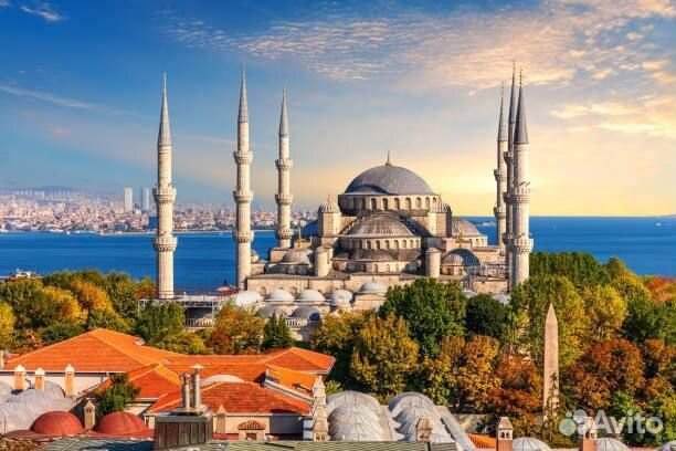 Тур в Стамбул из Калининграда Турция