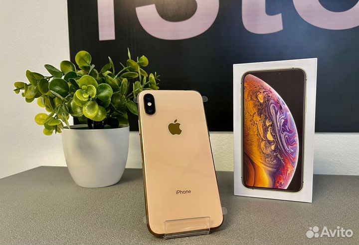 iPhone Xs, 256 ГБ