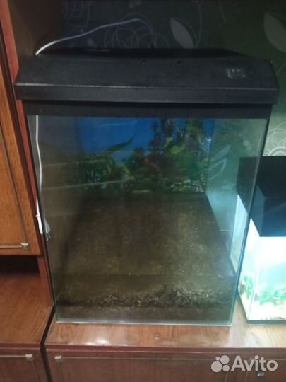 Аквариум