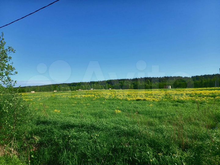 Участок 10 сот. (СНТ, ДНП)