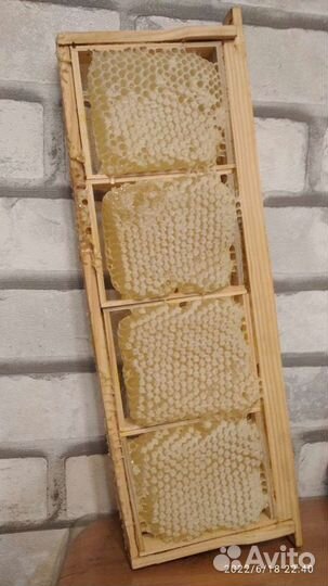 Мед в сотах