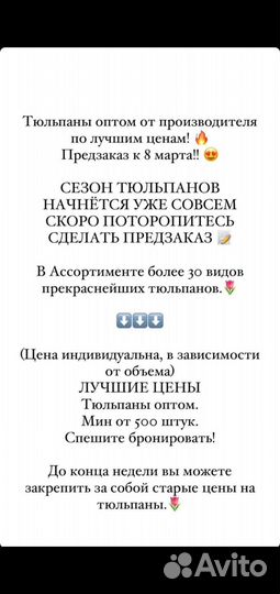 Тюльпаны оптом