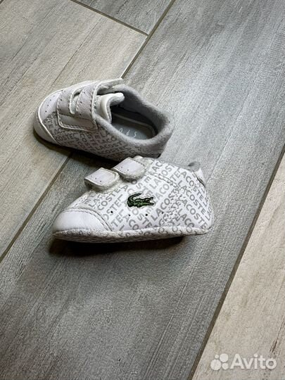 Пинетки lacoste оригинал