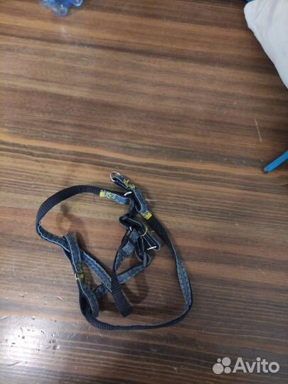 Одежда для маленьких собак