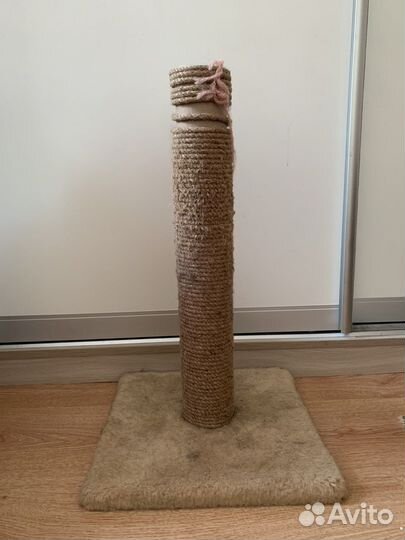 Когтеточка для кошек