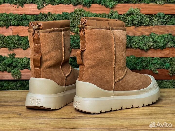 UGG Classic Short Weather Hybrid Boot Chestnut Whi