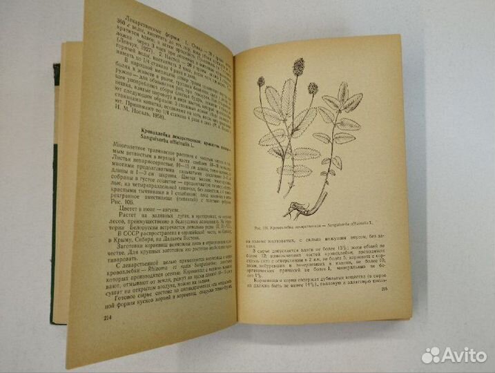 Лекарственные растения и их применение. Издание 7