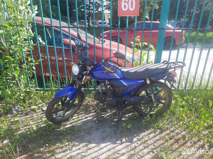 Alpha Forester/Hunter