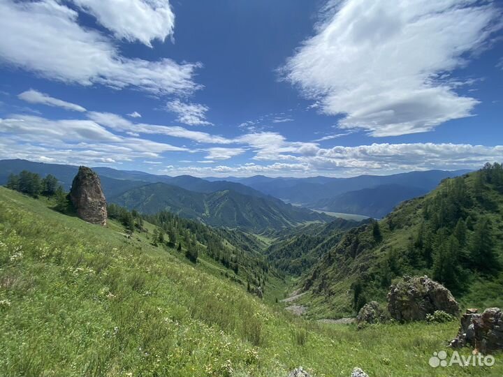 Отдых на Алтае