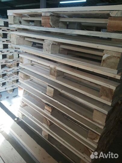 Поддоны новые