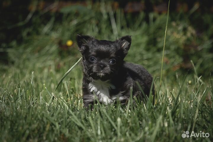 Голубое облачко