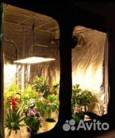 Фитолампа quantum board полный спектр 202 Вт