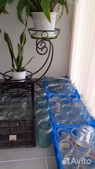 Банка стеклянная