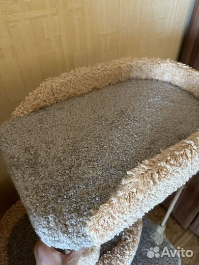 Когтеточка