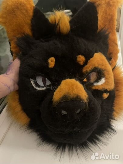 Фурсьют кота