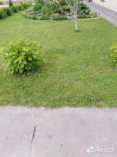 Окос травы и стрижка газонов