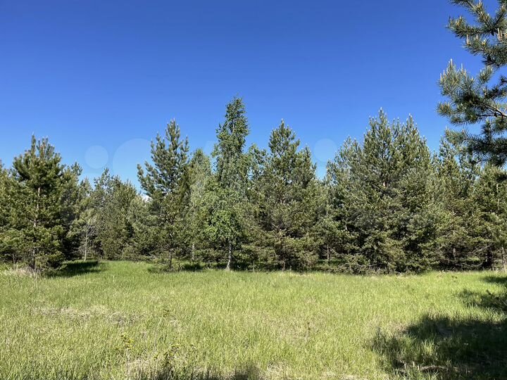 Участок 9,8 га (СНТ, ДНП)