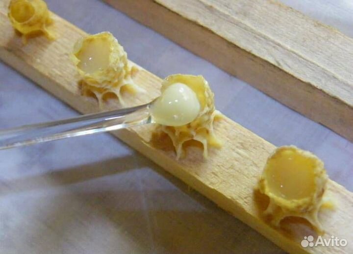 Маточкино молочко